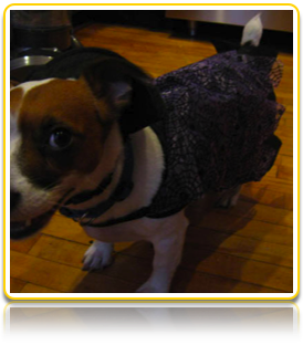 Halloween Penny