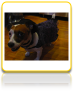 Halloween Penny